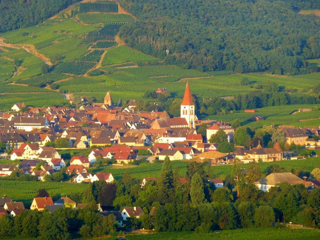 Des Seigneurs Ammerschwihr